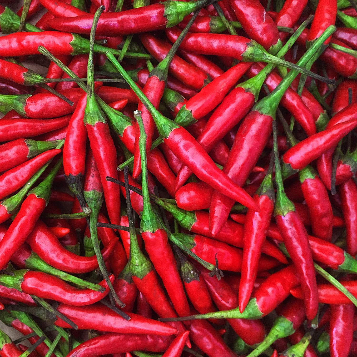 Bird's Eye Chili: What It Is & How To Cook It