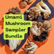 Umami Mushroom Sampler Bundle