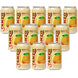 Sanzo Mango Sparkling Water (12 cans)
