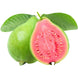 Pink Guava (2 count)