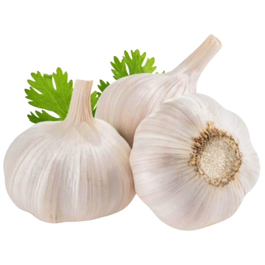 Garlic (5 count)