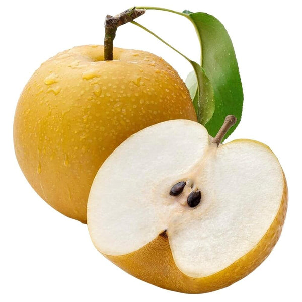 Jumbo Korean Shingo Pear (2 count)