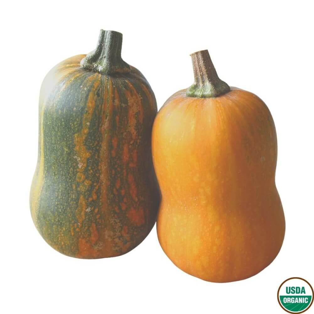 Organic Honeynut Squash (2 count)