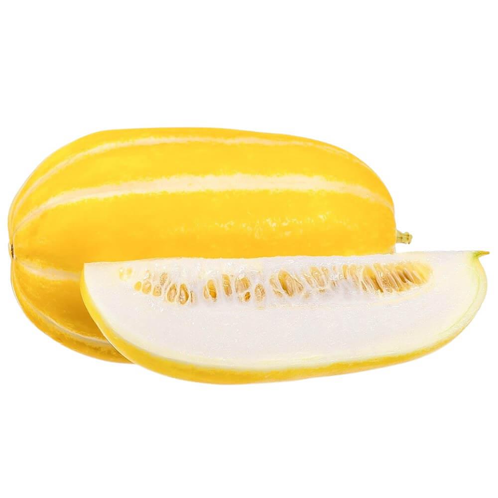 Korean Melon