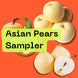 Asian Pears Sampler