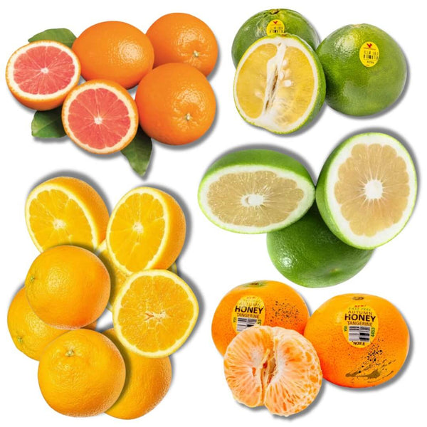 Citrus Fruit Sampler
