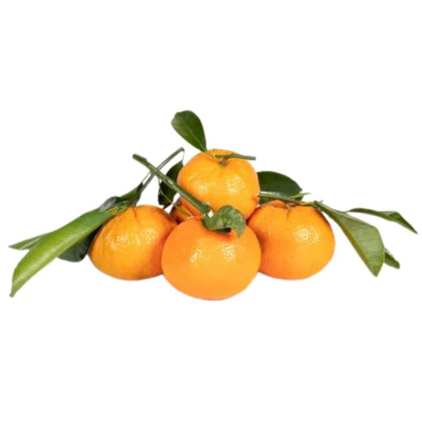 Stem & Leaf Satsuma Mandarins (2 lb)