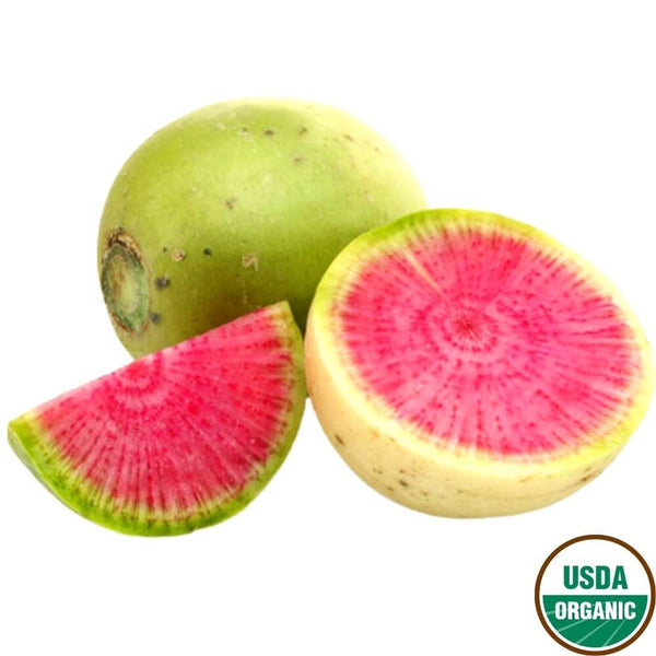 Organic Jumbo Watermelon Radish (1-2 count)