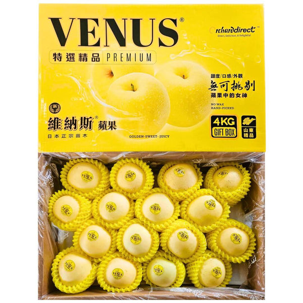 Case of Premium Venus Golden Apple (16 count)