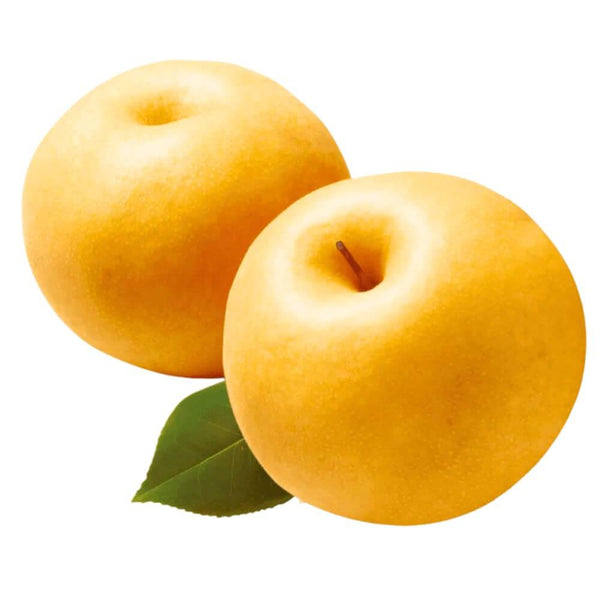 Jumbo Korean Shingo Pear (2 count)