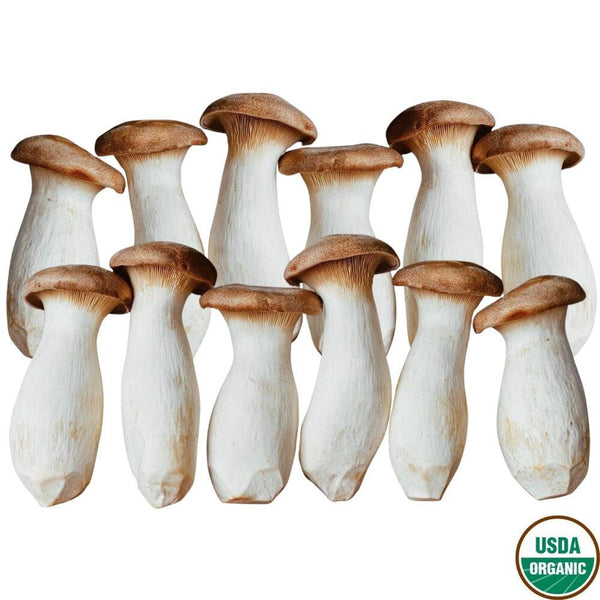 Organic King Oyster Mushroom, Value Bundle (3 count) (Korea, 300g x 3)