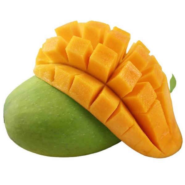 Jumbo Vietnamese Green Mango (Saigon Ivory Mango) (1 count)