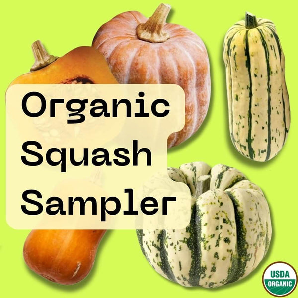 Organic Squash Sampler (4 count)