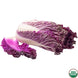 Organic Purple Napa Cabbage (1 count)