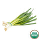 Organic Green Onion (Scallion) (1 bunch)
