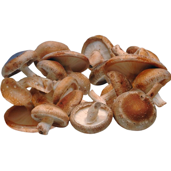 Shiitake Mushrooms (6 oz)