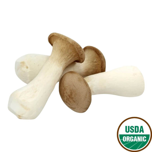 Organic King Oyster Mushroom (Korea, 300g)