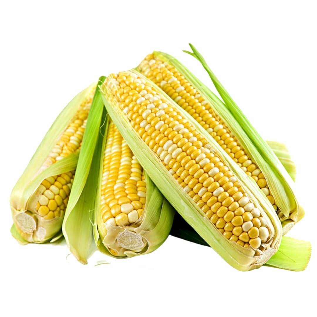 Sweet Yellow Corn, Value Bundle (4 count)