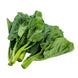 Gai Lan (Young Chinese Broccoli) (1 lb)