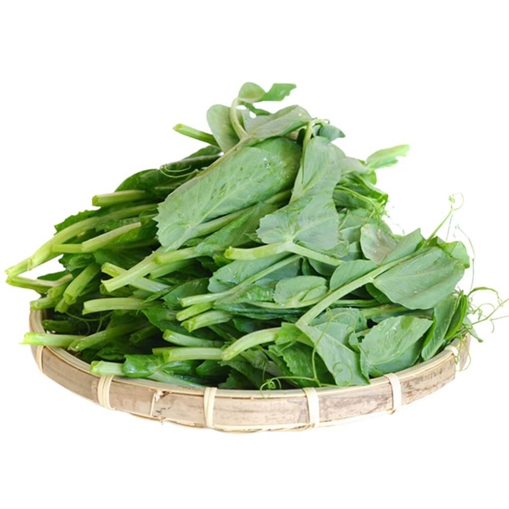 Snow Pea Shoots, Value Bundle (2 lb)