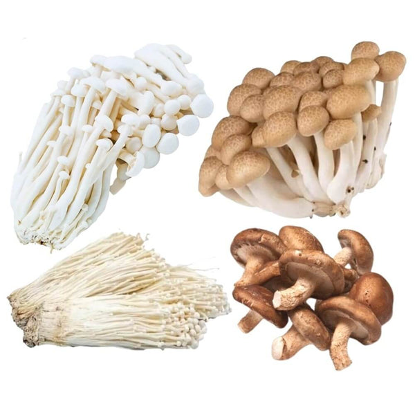Hot Pot Essentials Mushroom Medley
