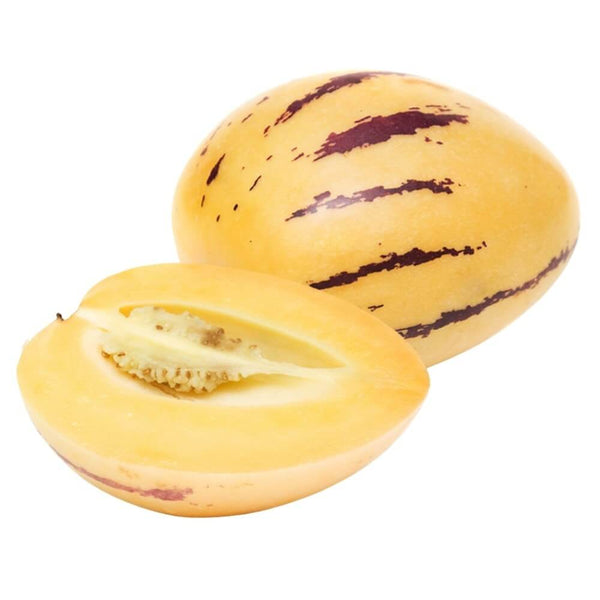 Pepino Melon (3 count)