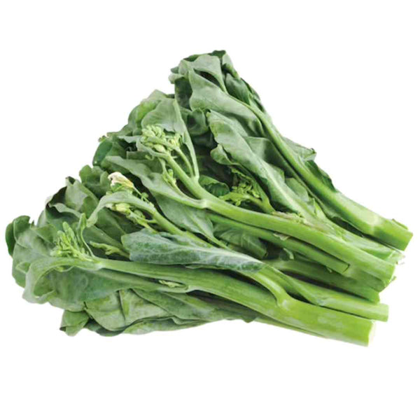 Gai Lan Tip (Young Chinese Broccoli), Value Bundle (3 lb)