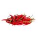 Red Thai Chili (0.5 lb)
