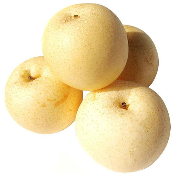 Sand Pear (3 count)