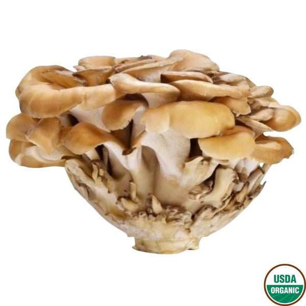 Organic Maitake Mushroom (1 count)