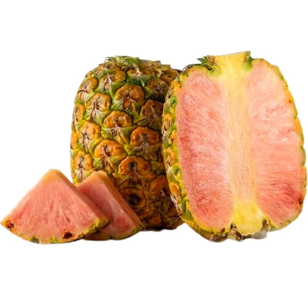 Baby PinkGlow Pineapple (1 count)