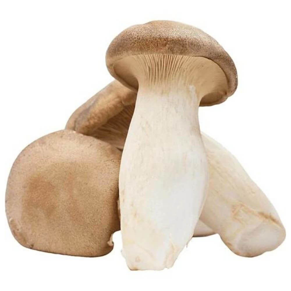 King Oyster Mushroom (300g)