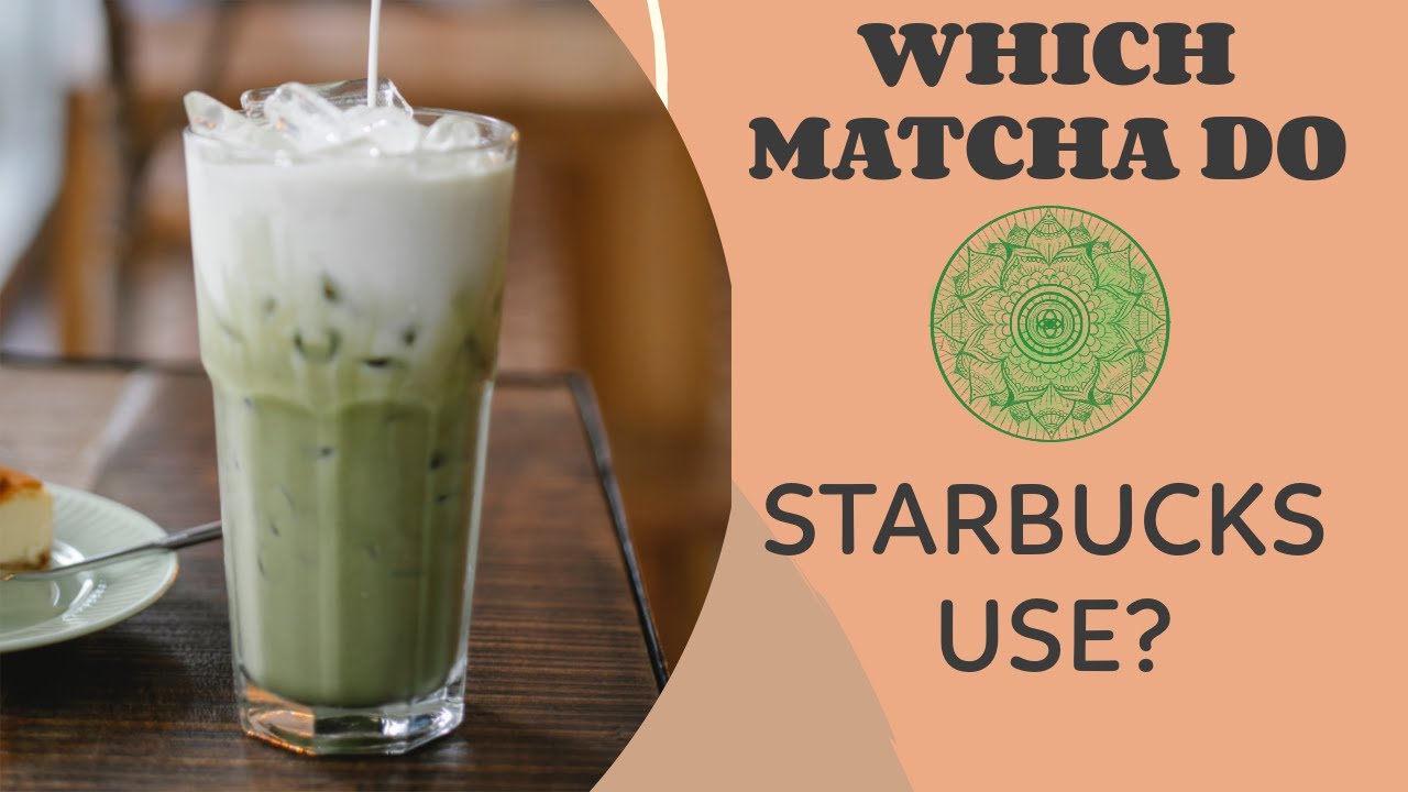 What Matcha Does Starbucks Use: Unveiling the Secret Blend